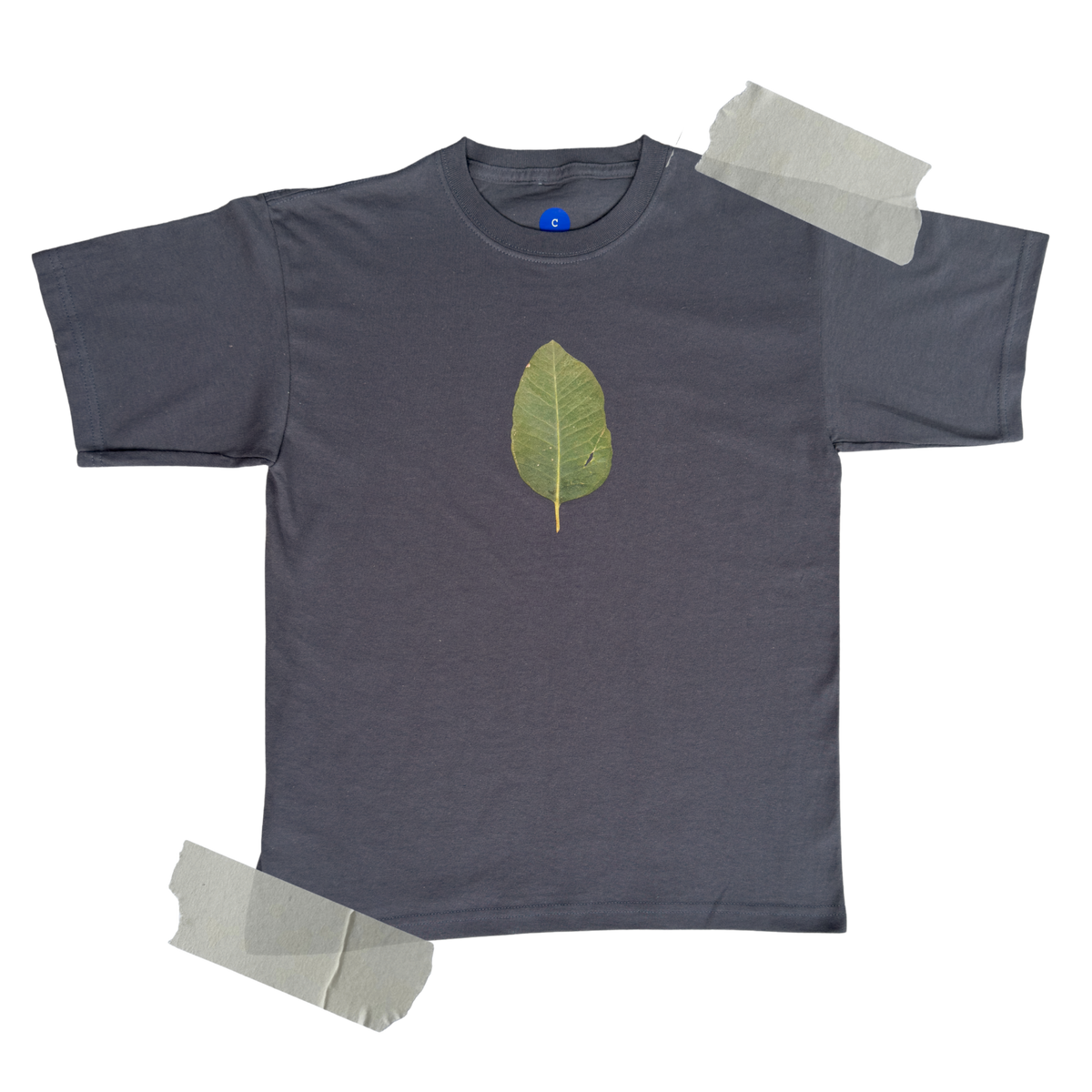 playera hoja de árbol eucalipto.