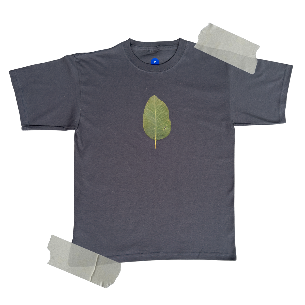 playera hoja de árbol eucalipto.